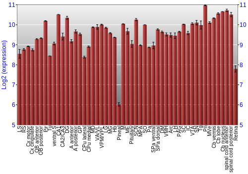 Expression graph