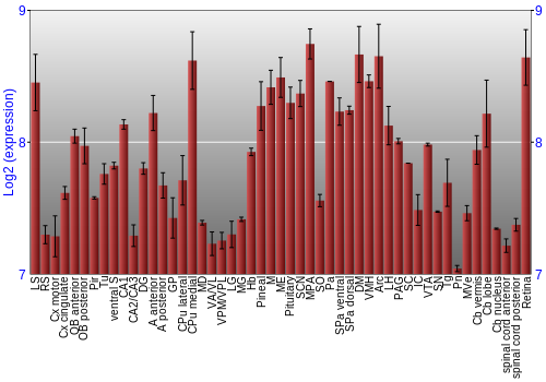 Expression graph