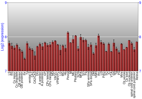 Expression graph