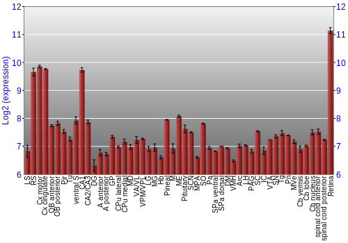 Expression graph