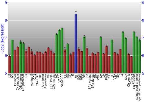 Multi-state expression graph