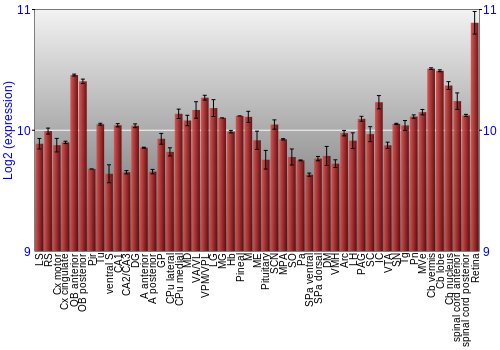 Expression graph