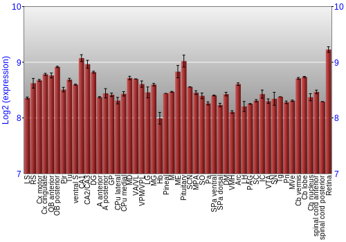 Expression graph