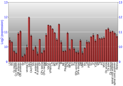 Expression graph