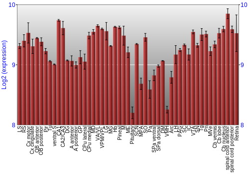Expression graph