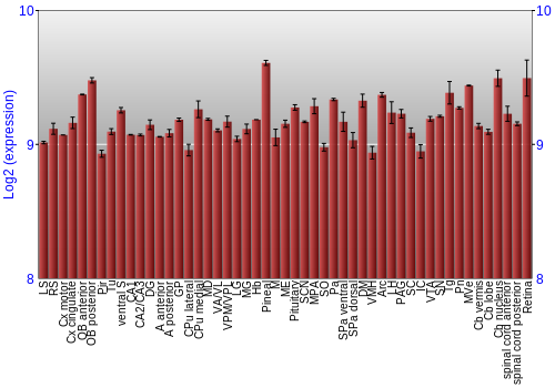 Expression graph