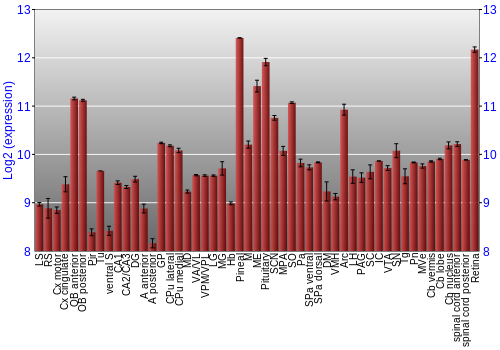 Expression graph