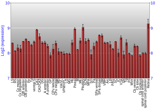 Expression graph