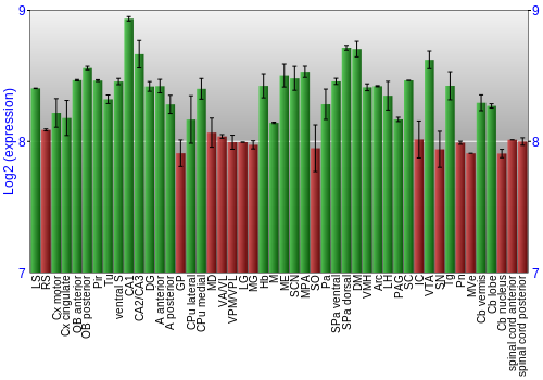 Multi-state expression graph