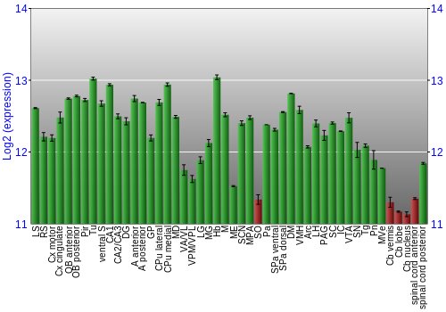 Multi-state expression graph