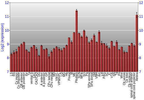 Expression graph