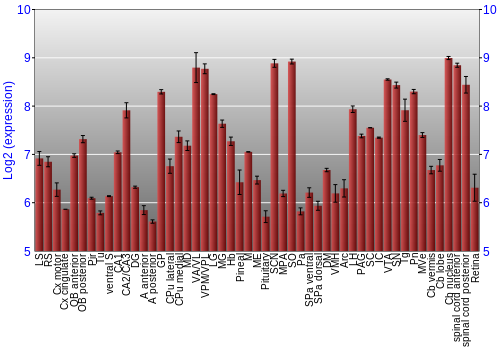 Expression graph