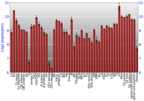 Expression graph