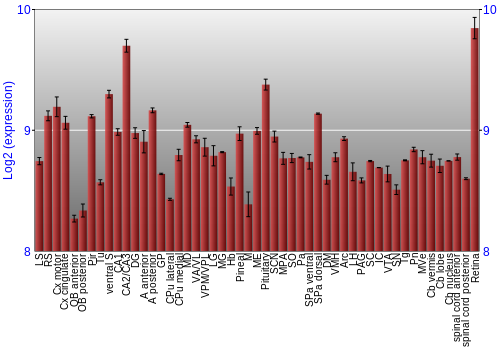 Expression graph
