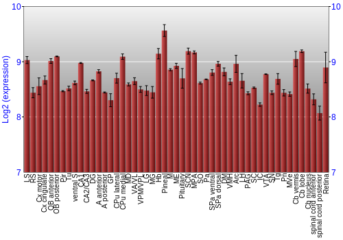 Expression graph
