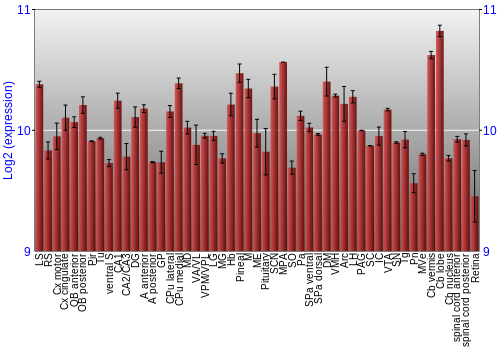 Expression graph