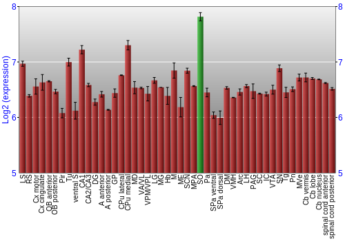 Multi-state expression graph