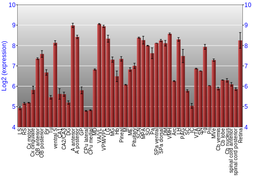 Expression graph