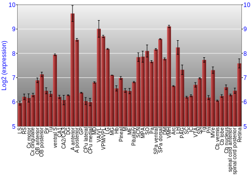 Expression graph