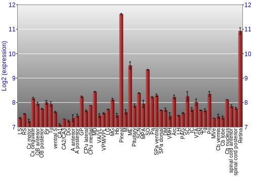 Expression graph