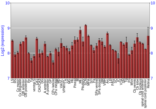 Expression graph