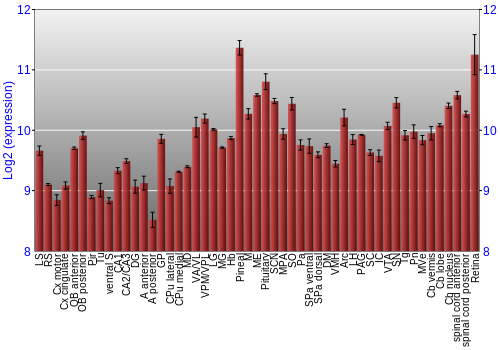 Expression graph