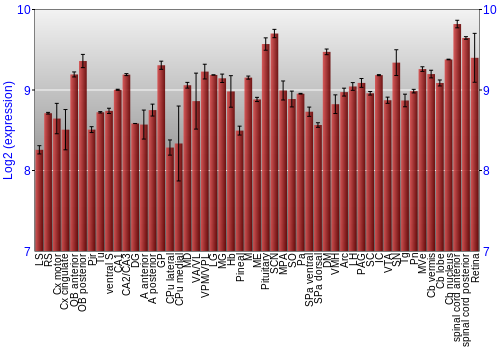Expression graph
