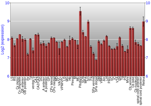 Expression graph