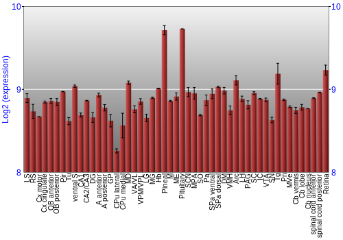 Expression graph