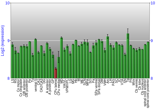 Multi-state expression graph