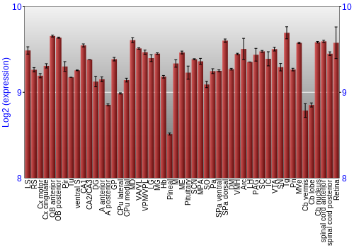 Expression graph