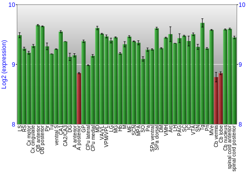 Multi-state expression graph
