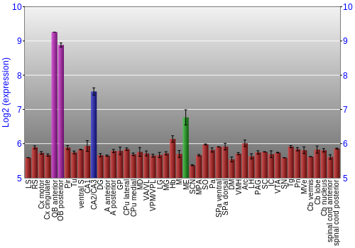 Multi-state expression graph