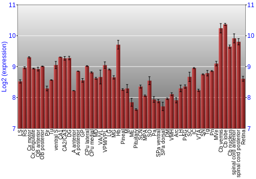 Expression graph