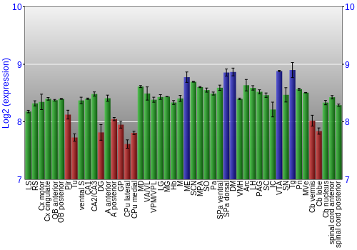 Multi-state expression graph