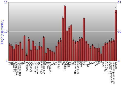 Expression graph