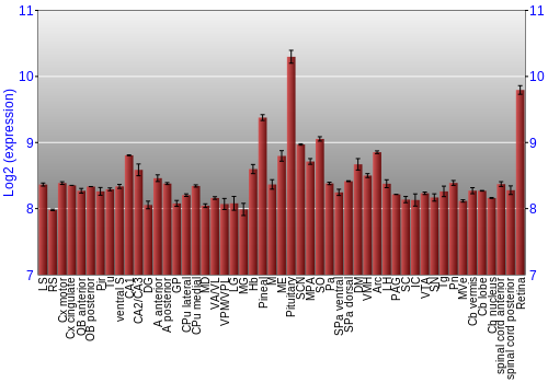 Expression graph