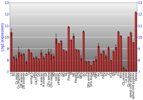 Expression graph