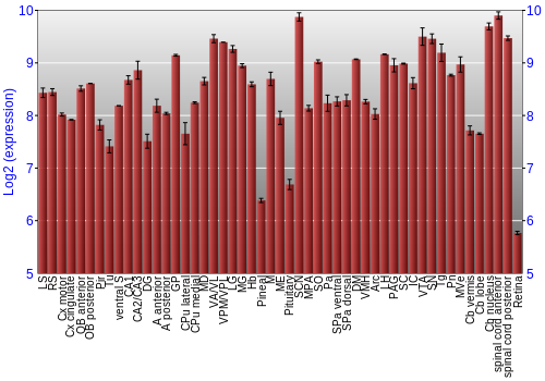 Expression graph