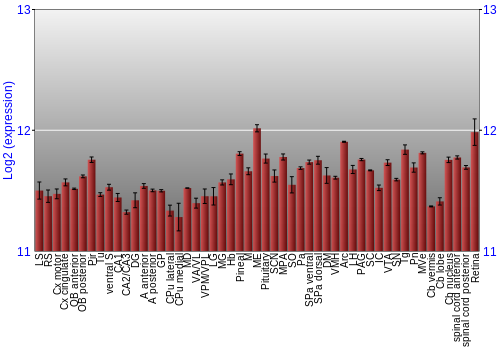 Expression graph