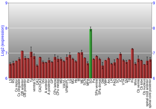 Multi-state expression graph