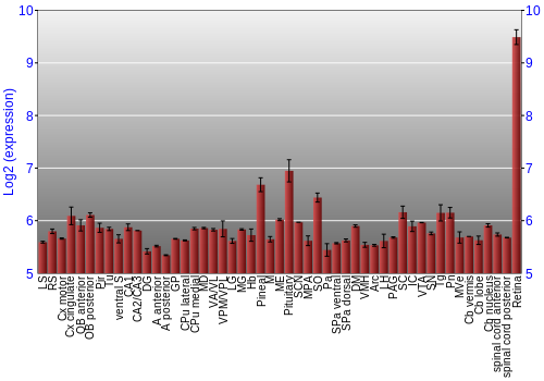 Expression graph