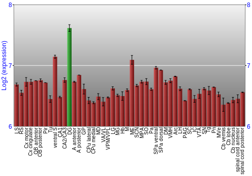 Multi-state expression graph