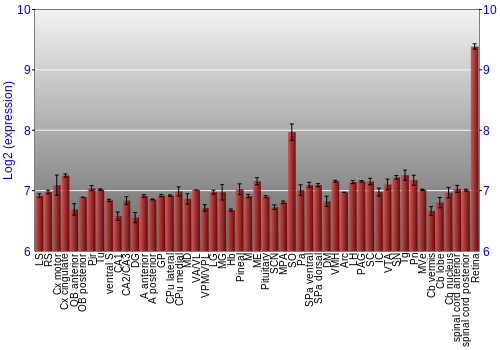 Expression graph