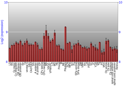 Expression graph