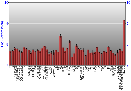 Expression graph