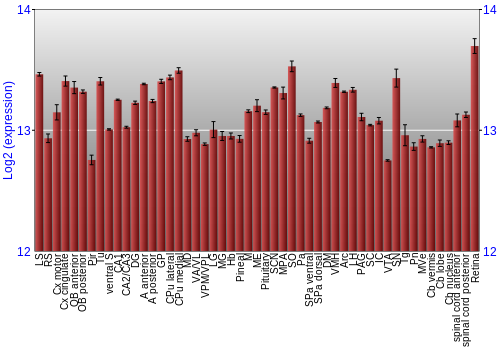 Expression graph