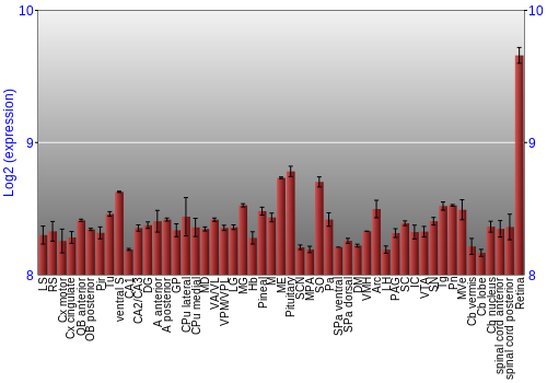 Expression graph
