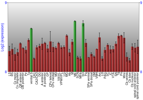 Multi-state expression graph