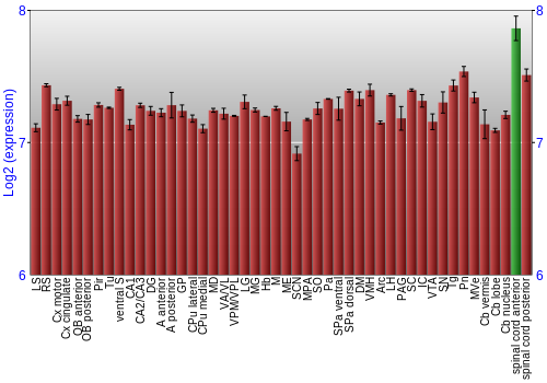 Multi-state expression graph